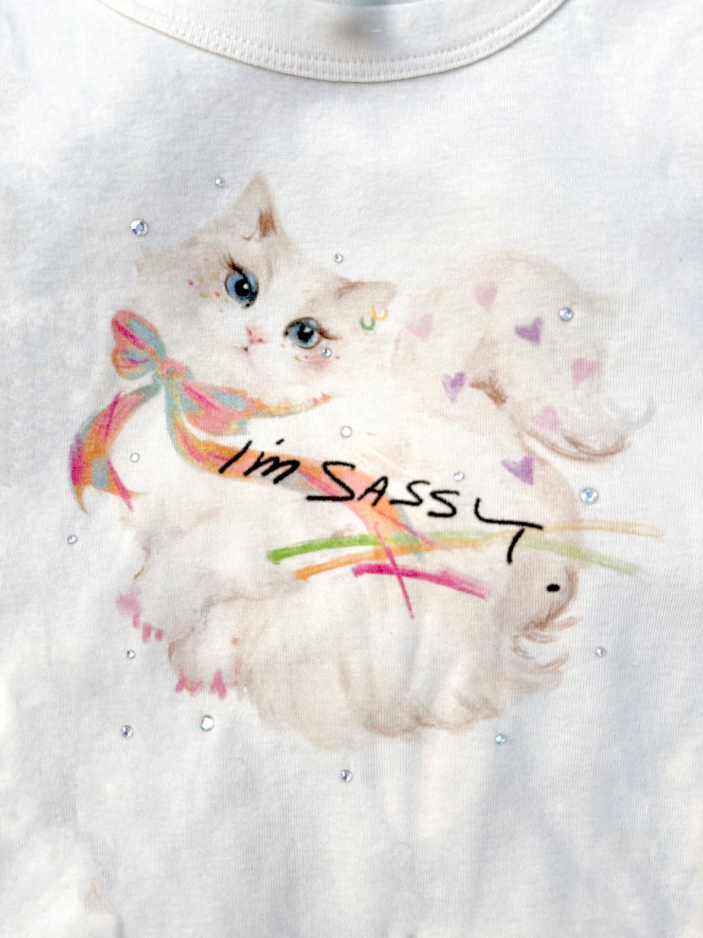 Sparkly Sassy Cat L/S Tee
